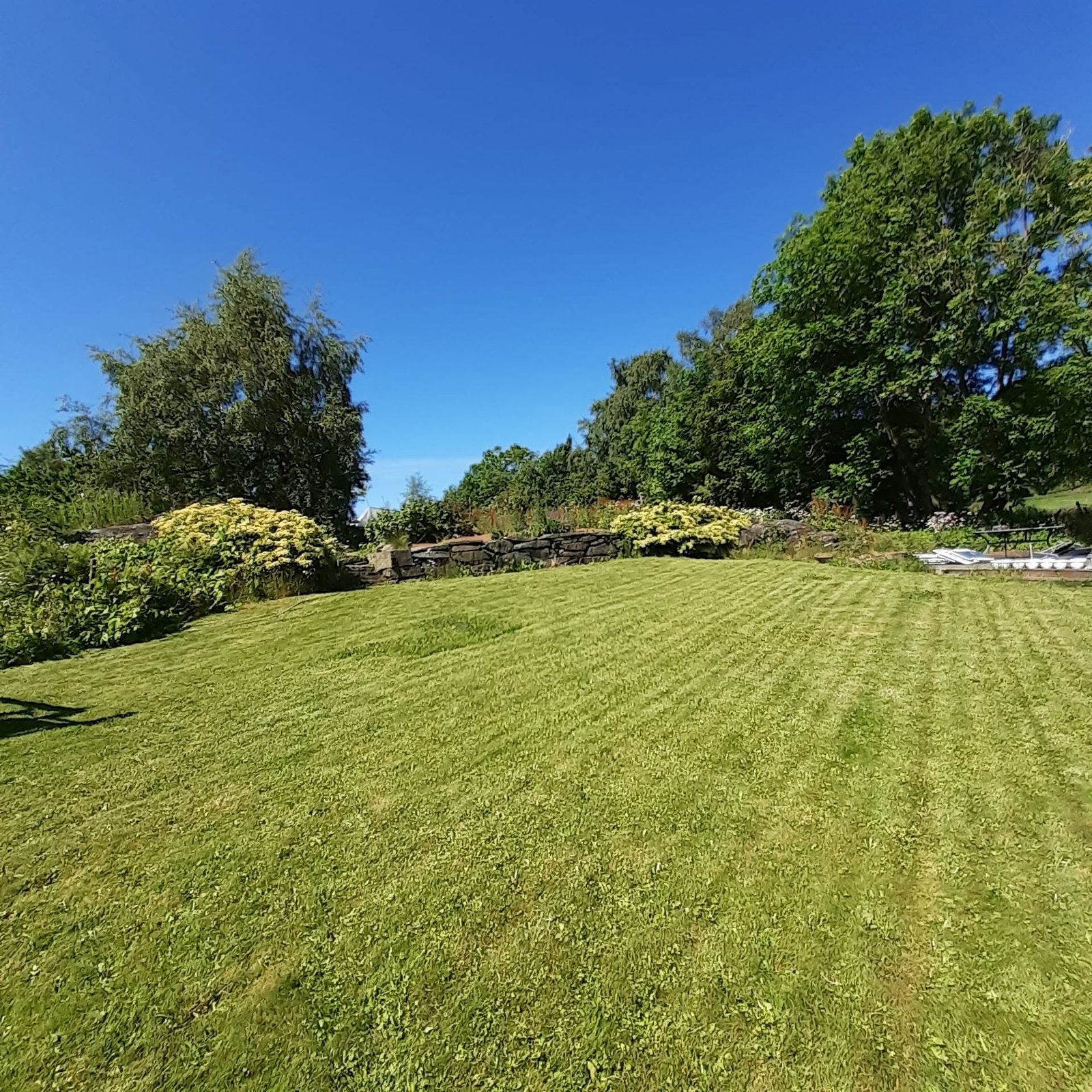 The lawn and stone-walled garden beds at Falkasete on a clear summer day