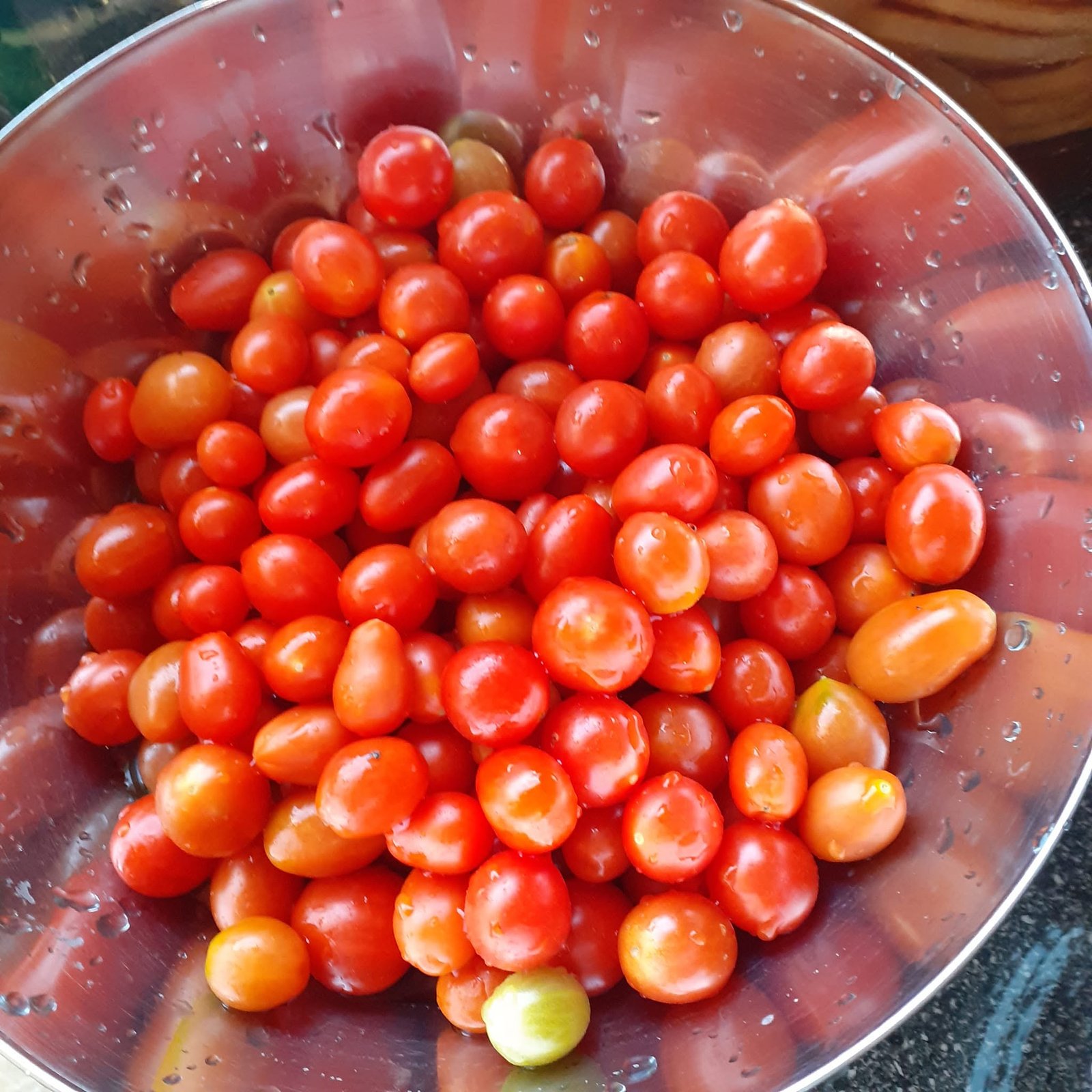 Small home-grown tomatoes in a stainless-steel bowl