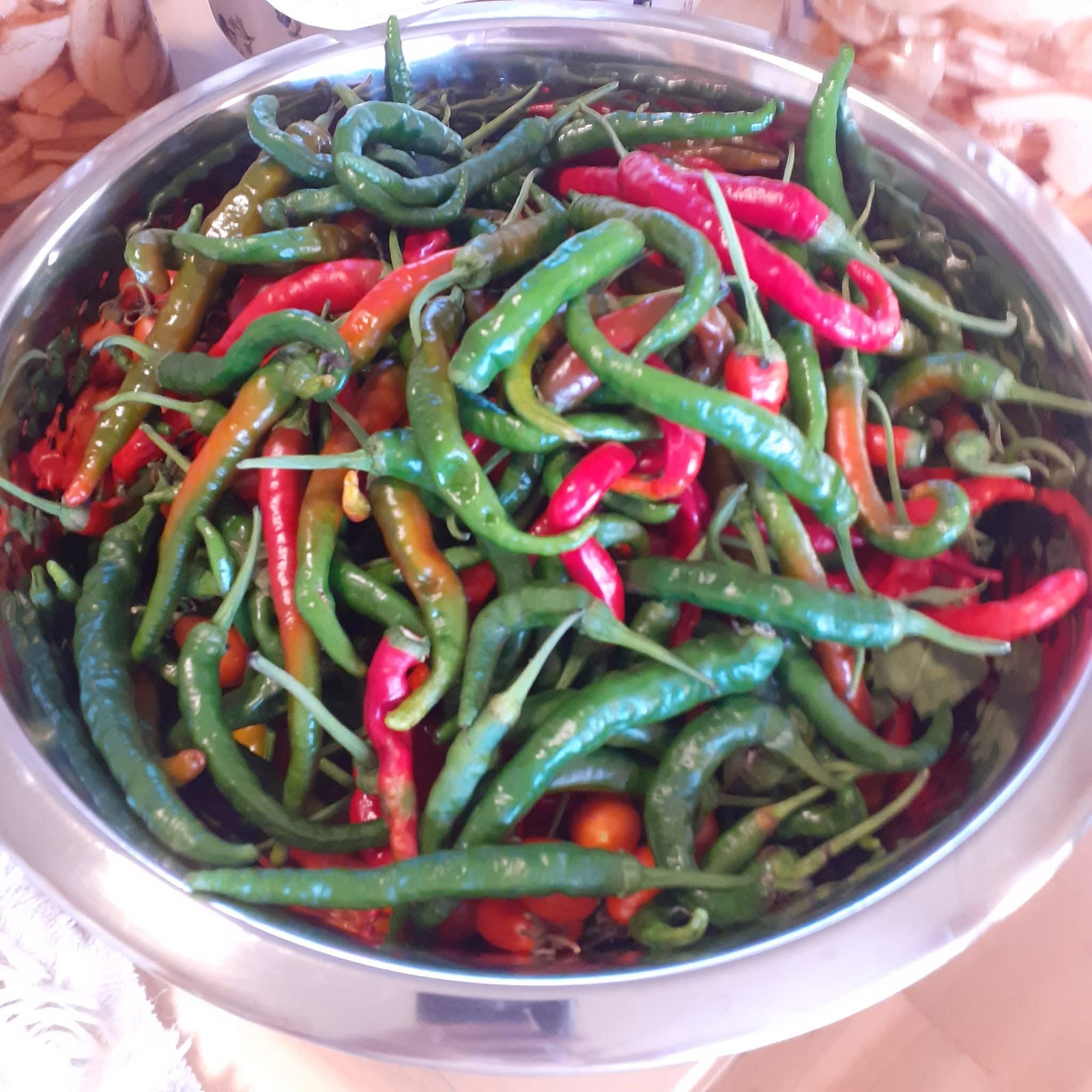 A stainless-steel bowl of green and red chillies from the garden